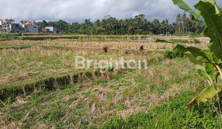 24 ARE SEWA TANAH DI UBUD ZONA PEMUKIMAN DAN VIEW SAWAH 1