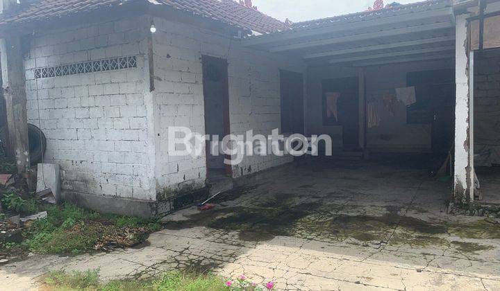 1,8 ARE RUMAH TUA HITUNG TANAH DI DEKAT SANUR 1