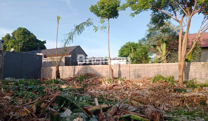 SMALL VILLA ENVIRONMENTAL LAND IN SANUR 1