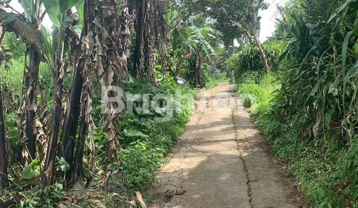 8 Are Investasi Tanah Murah 10 Menit Ke Danau Batur Bedugul 2