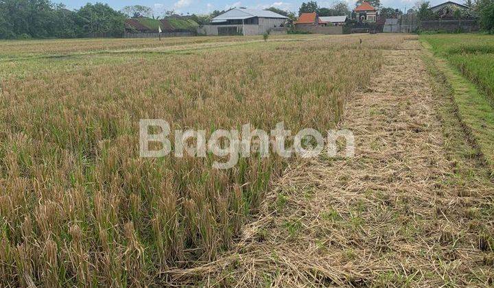 16 AREES OF LAND READY TO BUILD A WAREHOUSE IN BERWITANI NEAR THE NEW TERMINAL 1