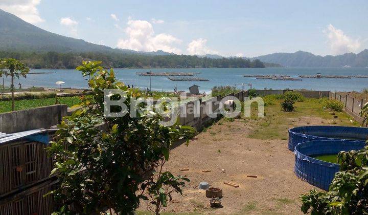 21 Are Tanah Los Danau Batur Di Kintamani 2