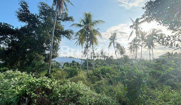 53 ARE TANAH HOOK STRATEGIS HANYA 5 MENIT KE PANTAI SABA 1