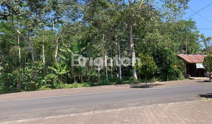 1,2 HEKTAR TANAH VIEW GUNUNG DI BUKIT PELAGA BADUNG 2