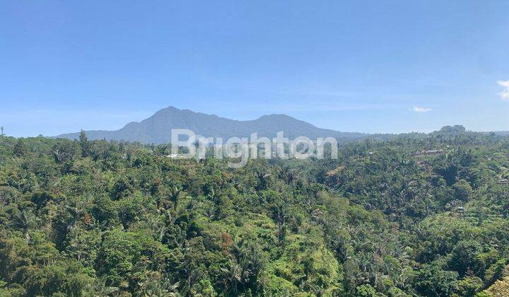 1.2 HECTARES OF LAND WITH MOUNTAIN VIEW IN BUKIT PELAGA BADUNG 1