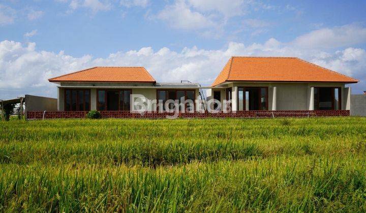 3BR BRAND NEW VILLA IN CEMAGI WITH RICE PADDY VIEW 1