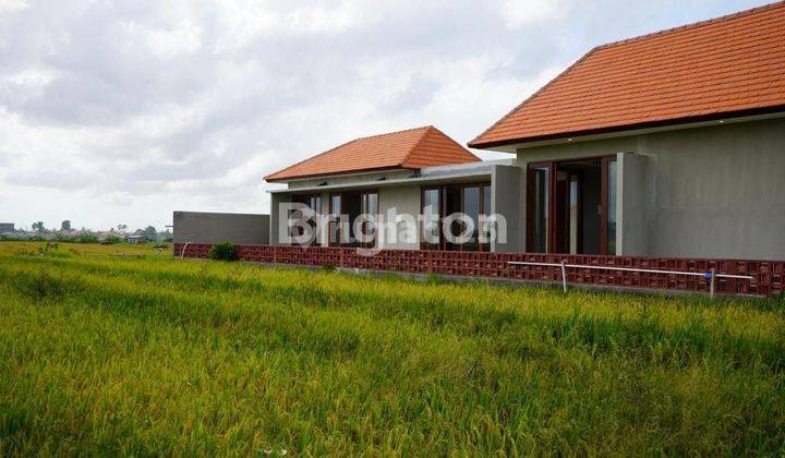 3BR BRAND NEW VILLA IN CEMAGI WITH RICE PADDY VIEW 2