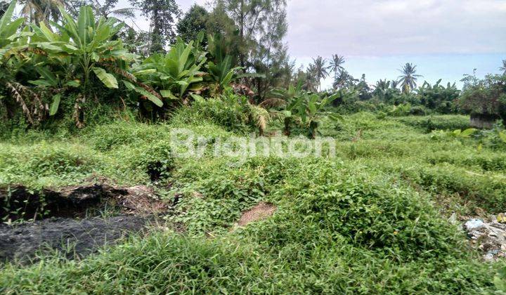 24 ARE  TANAH DI UBUD ZONA PEMUKIMAN DAN VIEW SAWAH 2