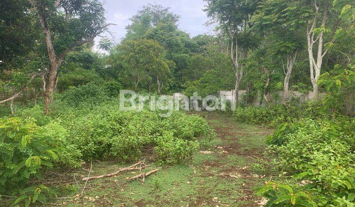 1,97 HECTARES UNBLOCK VIEW LAND IN JIMBARAN PRIME LOCATION 2