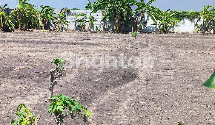 TANAH DI BELAKANG GRAHA NATURA 1