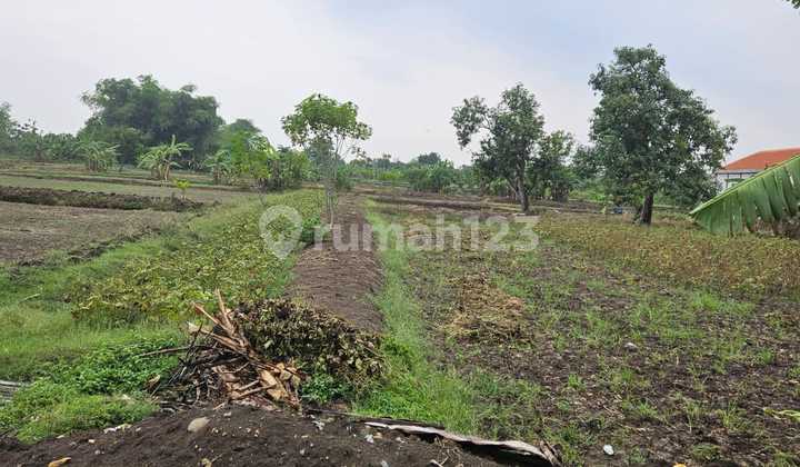 Land in Gresik