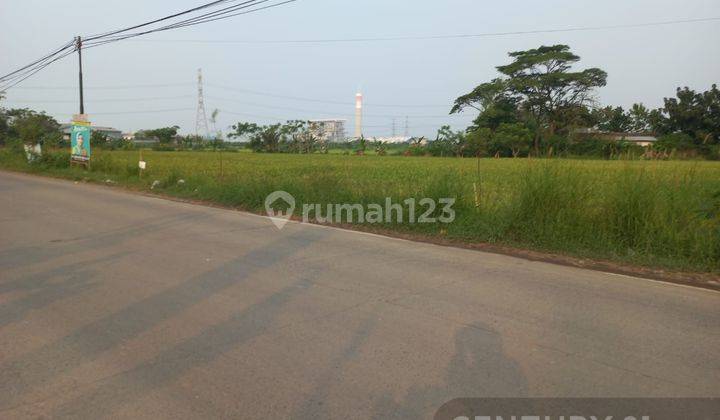 Tanah Sawah Jalan Raya Bojonegara Zona Pergudangan 2