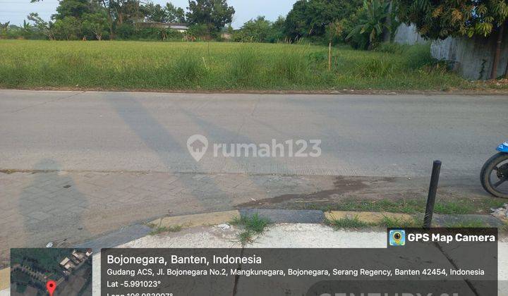 Tanah Sawah Jalan Raya Bojonegara Zona Pergudangan 1