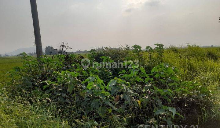 Tanah Tasikardi Dekat Banten Lama Jalan Utama 2