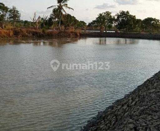 Tanah Empang Labuan Panimbang Harga Miring 1