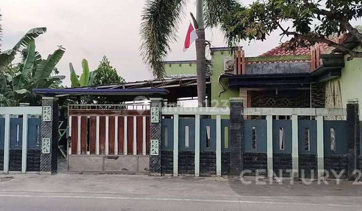 Hunian Sawah Luhur Kasemen Jalan Utama Nego 2