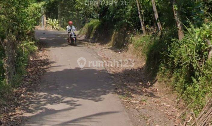 Tanah Cikeusal Harga Miring Cocok Untuk Kebun 1