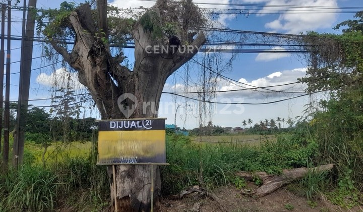 Land Over 1 Hectare, East Cilegon Toll Exit