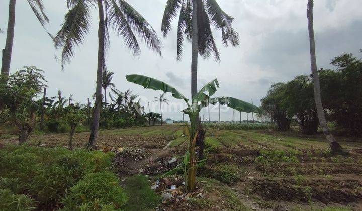 Dijual Tanah di Sukamekar Sukawangi Bekasi  2