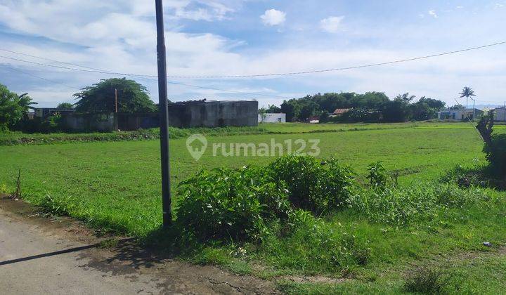 Jual Tanah Murah Pinggir Jalan Aspal Strategis 2