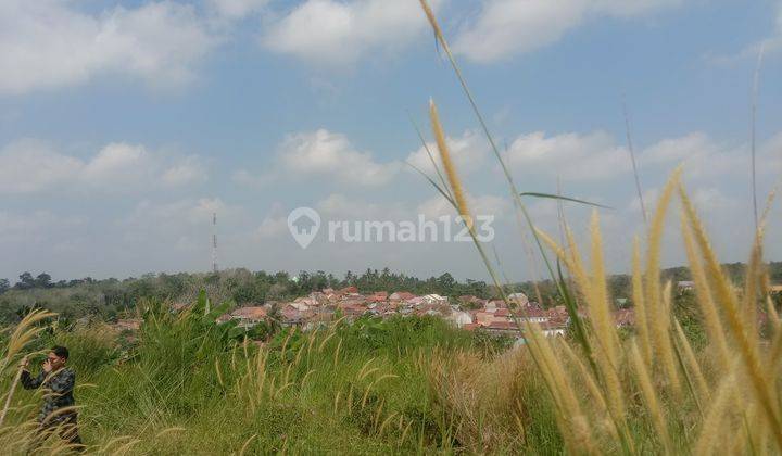 Dijual tanah strategis murah simpang rimbo 1