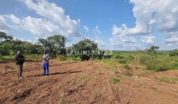 Dijual Tanah Lokasi Mendalo Dekat Kampus Uin Jambi 2