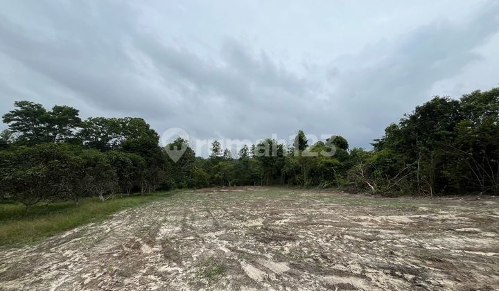 Segera Miliki Tanah Murah Mendalo, Muaro Jambi Segera Miliki Tanah Murah Mendalo, Muaro Jambi