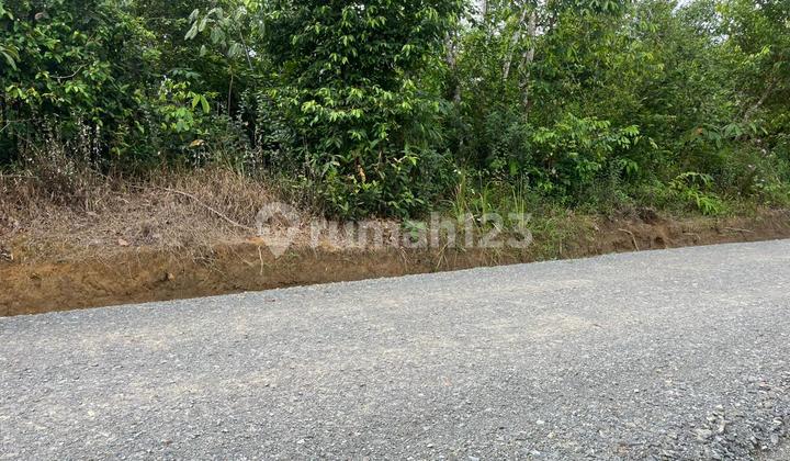 Selling Cheap Land Location Kebun 9 Muaro Jambi