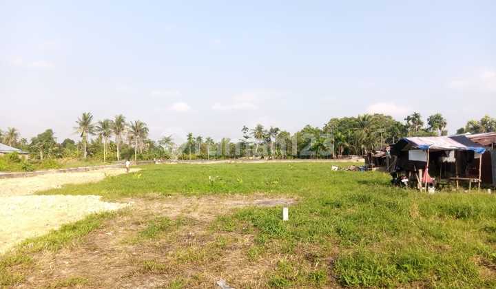 Miliki Tanah Jalan Yuka Pal Merah, Kota Jambi Miliki Tanah Jalan Yuka Pal Merah, Kota Jambi