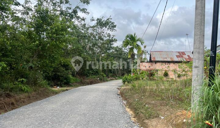 Selling Cheap Land Location Kebun 9 Muaro Jambi