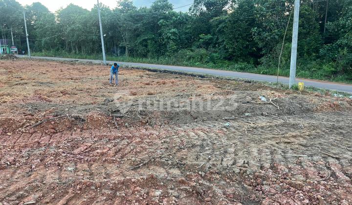 Segera Miliki Tanah Murah Mayang Mangurai, Kota Jambi Segera Miliki Tanah Murah Mayang Mangurai, Kota Jambi