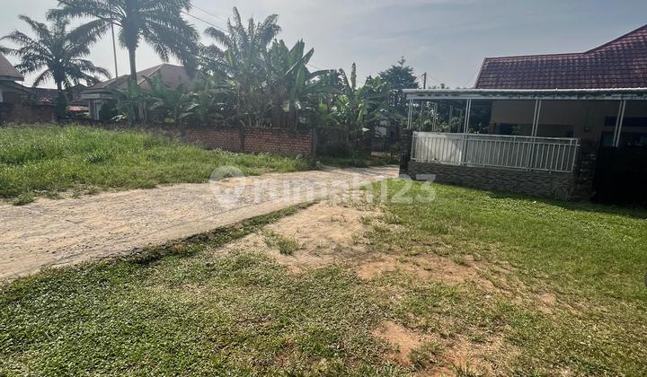 Dijual Tanah Datar Lokasi Bagan Pete, Kota Jambi Dijual Tanah Datar Lokasi Bagan Pete, Kota Jambi