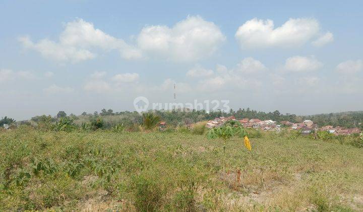 DIJUAL TANAH KAVLING MURAH LOKASI SIMPANG RIMBO 1