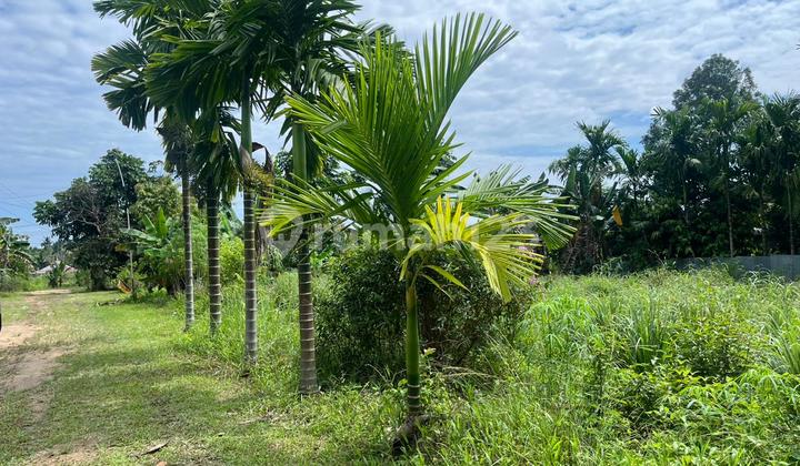 Land for Sale, Bagan Pete, Jambi City