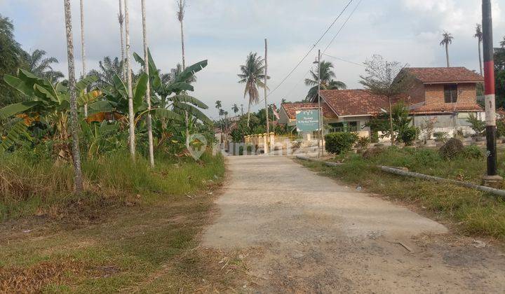 Dijual TanahSiap Bangun Lokasi Asparagus 2