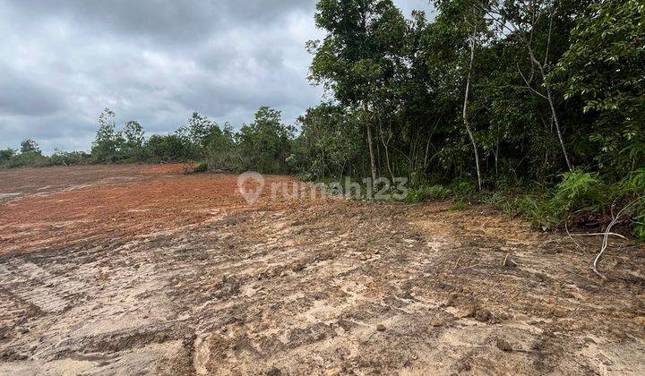 Dijual Tanah Murah Lokasi Mendalo Belakang Kampus Uin 2