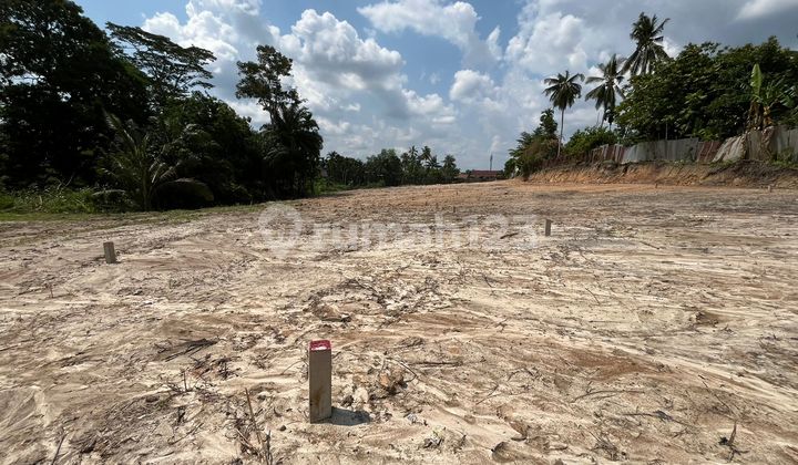 Own Land in Handil Location, Jambi City Immediately