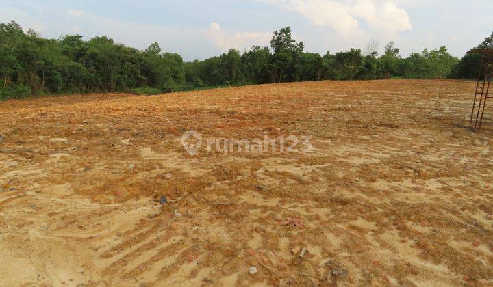 Dijual Tanah Murah Lokasi Mayang Alana Legalitas SHM 1