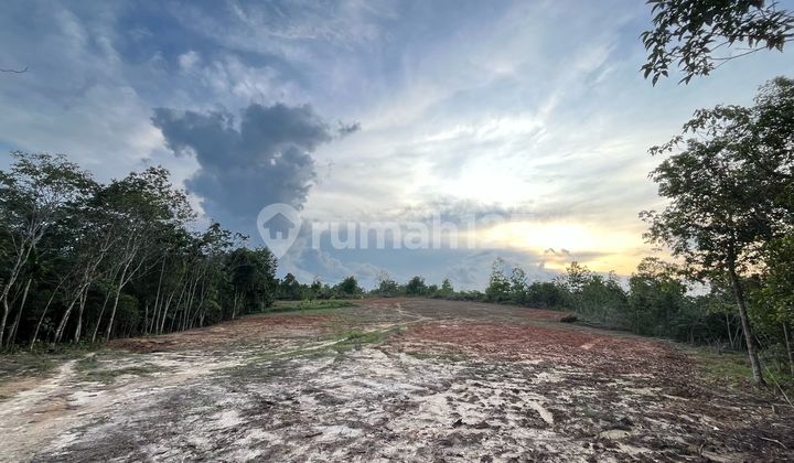 Segera Miliki Tanah Murah Mendalo, Muaro Jambi Segera Miliki Tanah Murah Mendalo, Muaro Jambi