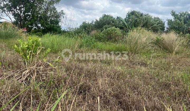 Dijual Cepat Tanah SHM Simpang Rimbo, Kota Jambi Dijual Cepat Tanah SHM Simpang Rimbo, Kota Jambi