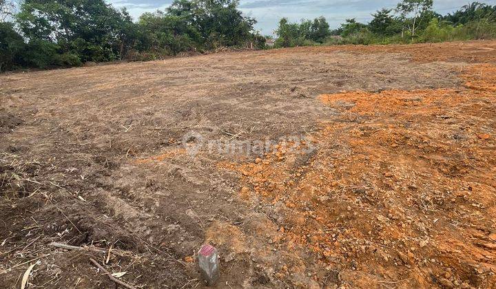 Dijual Tanah Cocok Untuk Investasi Lokasi Mendalo 2