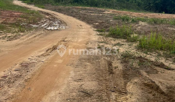 Miliki Tanah Strategis Lokasi Mendalo, Muaro Jambi