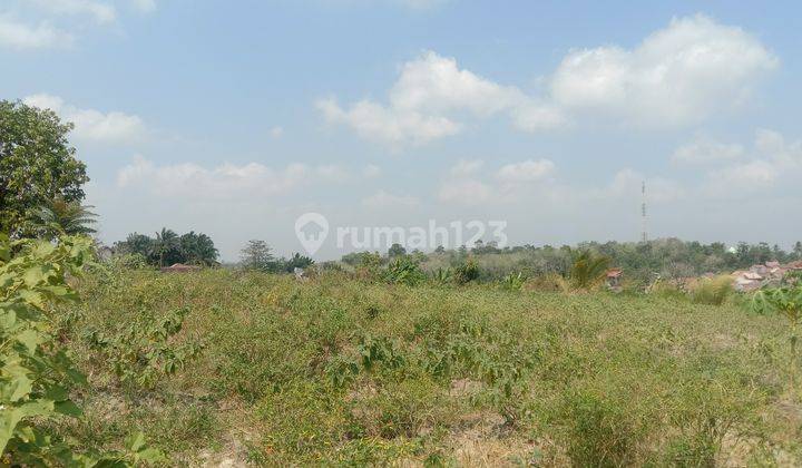 DIJUAL TANAH KAVLING MURAH LOKASI SIMPANG RIMBO 2