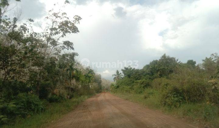 Dijual tanahu murah area ramai penduduk lokasi mendalo laut 2