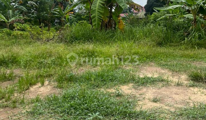 Strategic Coffee Plantation Land for Sale, Jambi City - Limited Units