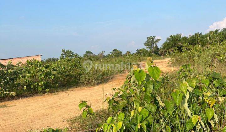 Dijual Tanah Siap Bangun Lokasi Kebun 9 Ramai Lingkungan 2