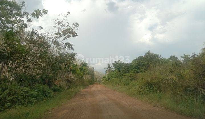 Dijual tanahu murah area ramai penduduk lokasi mendalo laut 1