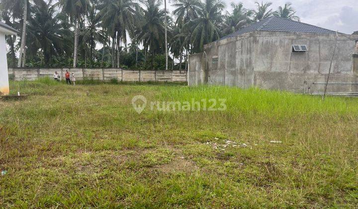 Segera mIliki Tanah Siap Bangun Langsung AJB di Asparagus 1