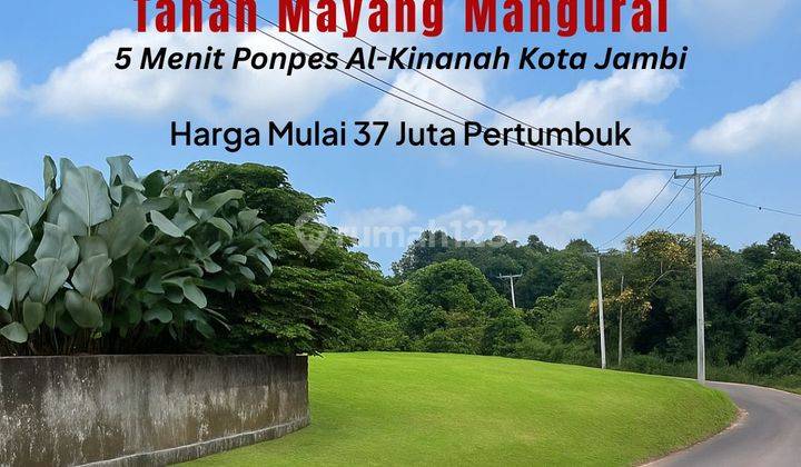 Dijual Tanah Murah Lokasi Mayang Mangurai 1
