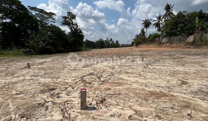 Dijual Tanah Siap Bangun Lokasi Jelutung Kota Jambi Dijual Tanah Siap Bangun Lokasi Jelutung Kota Jambi